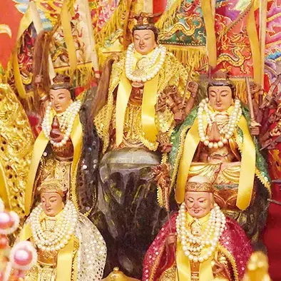 五母至尊