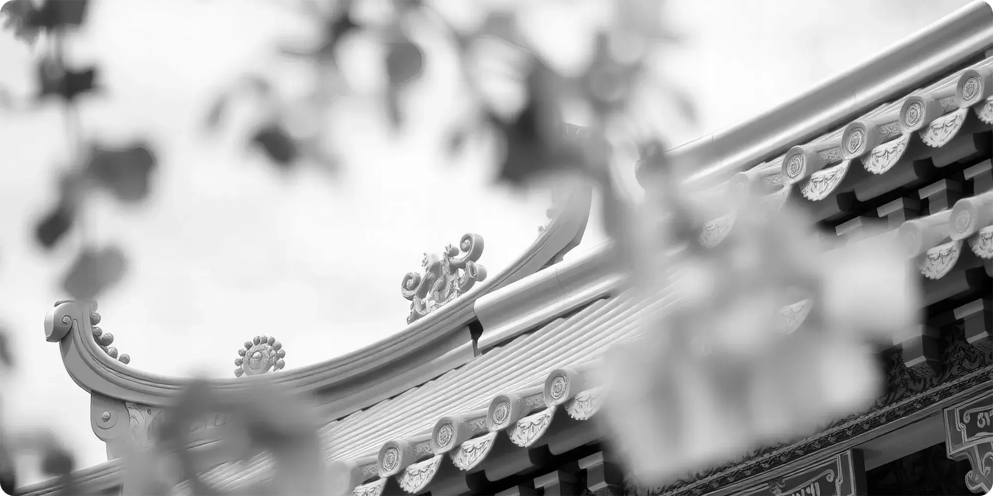 Banner01